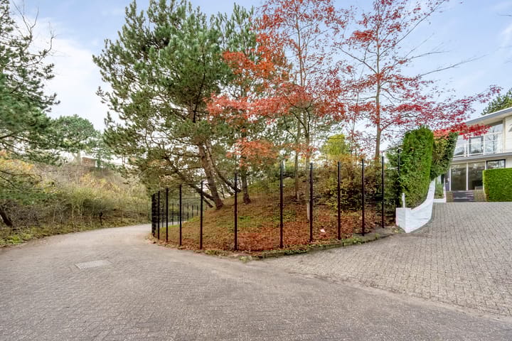 Foto 59 van Herman Heijermansweg 10