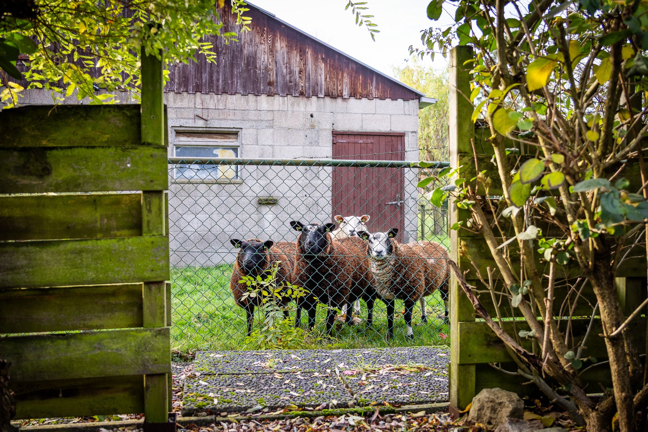 Foto 63 van Wagenmaker 5