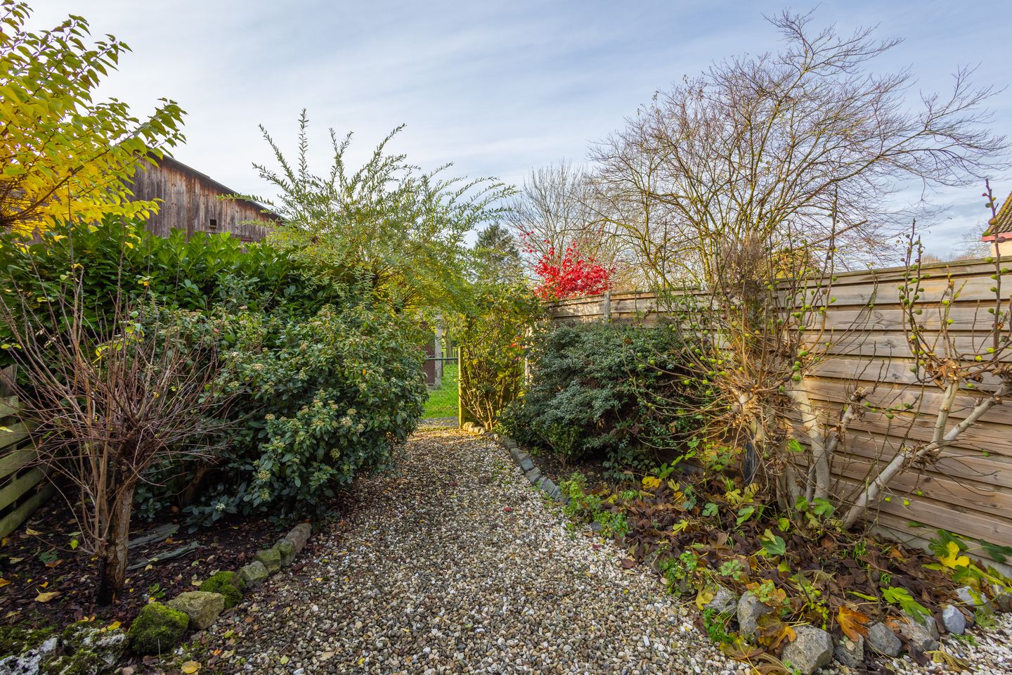 Foto 55 van Wagenmaker 5