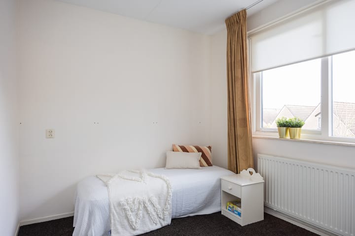 Photo 24 of van Loostraat 6