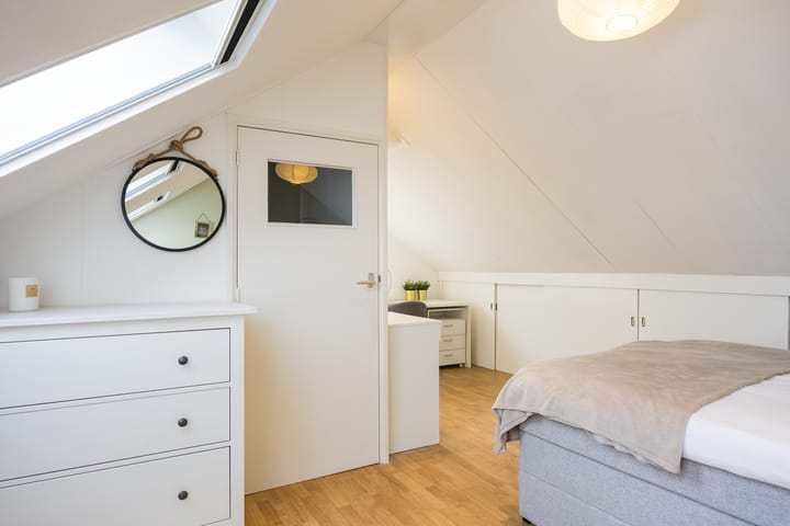 Photo 28 of van Loostraat 6