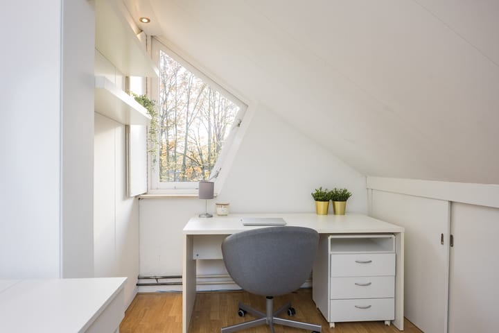 Photo 29 of van Loostraat 6