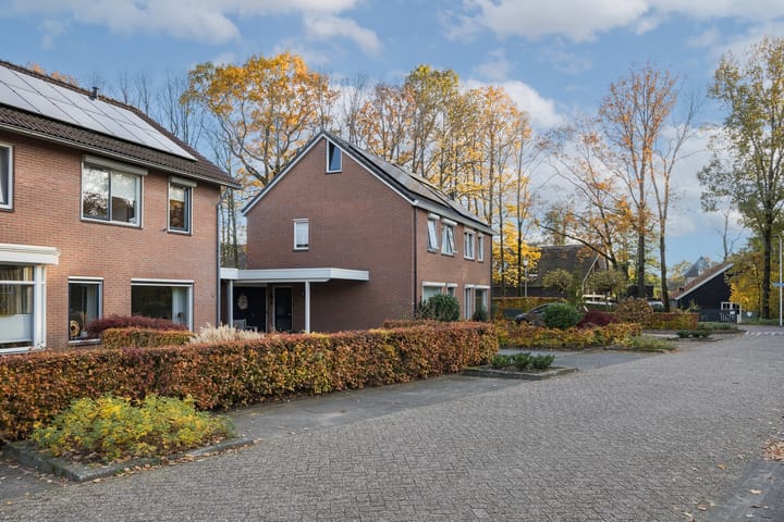 Photo 37 of van Loostraat 6