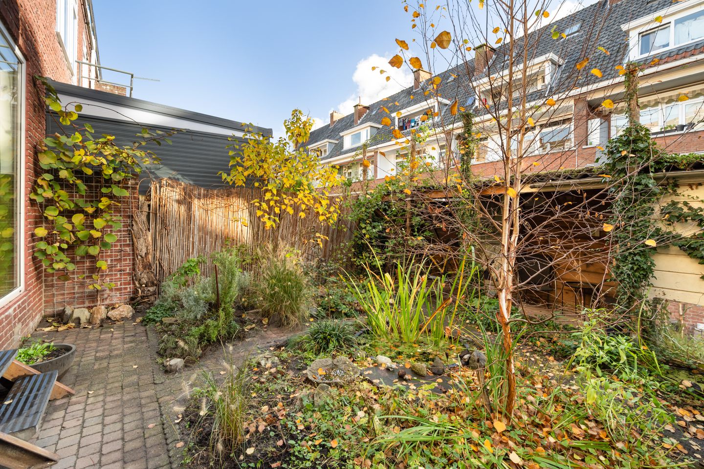 Photo 4 of Nieuwenhoornstraat 106-A