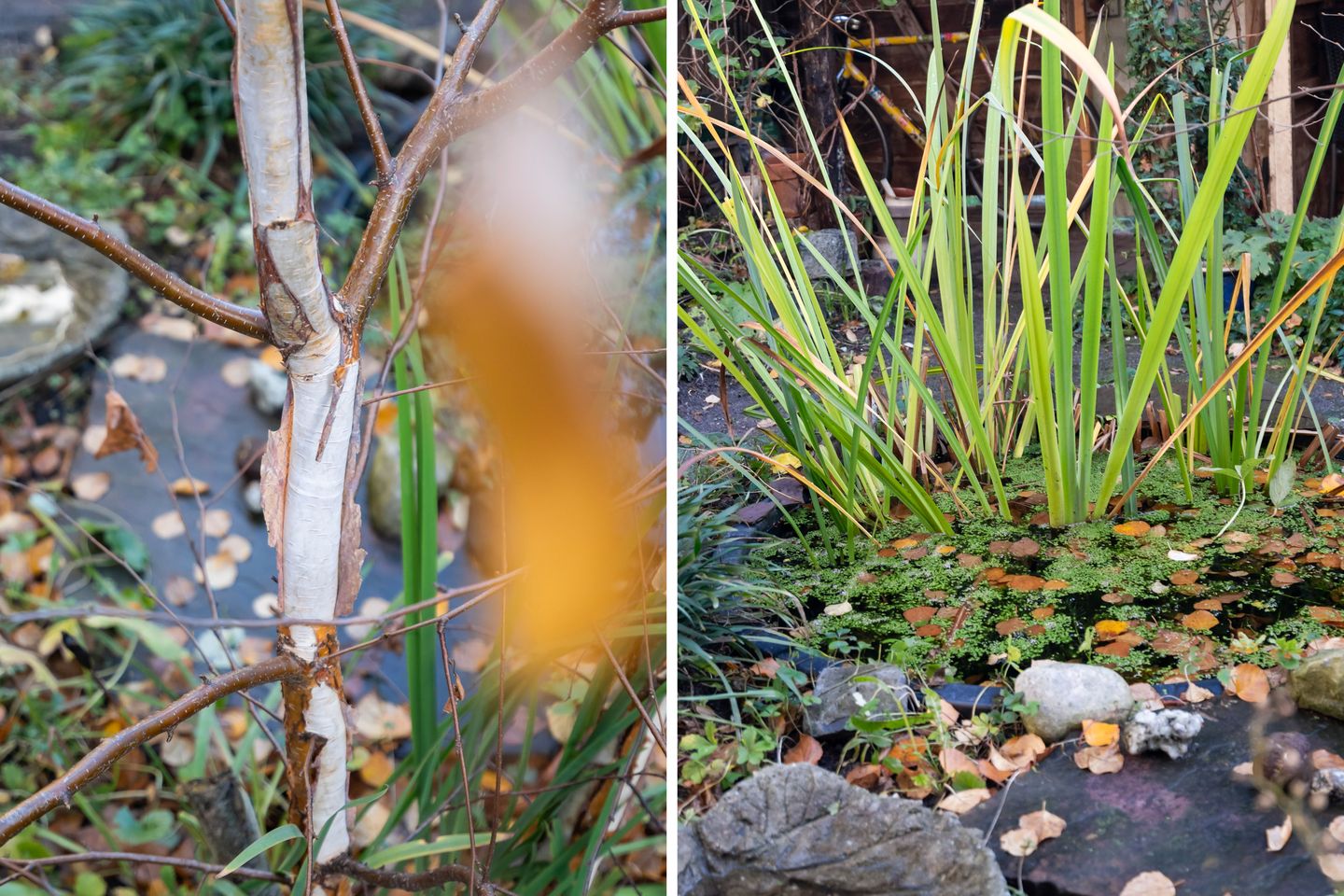 Photo 29 of Nieuwenhoornstraat 106-A