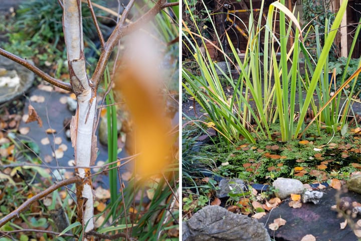 Foto 29 van Nieuwenhoornstraat 106-A