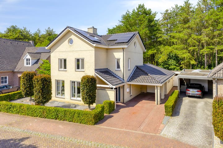 Riddershove 24 main image