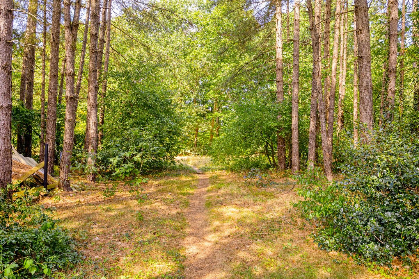 Photo 59 of Riddershove 24