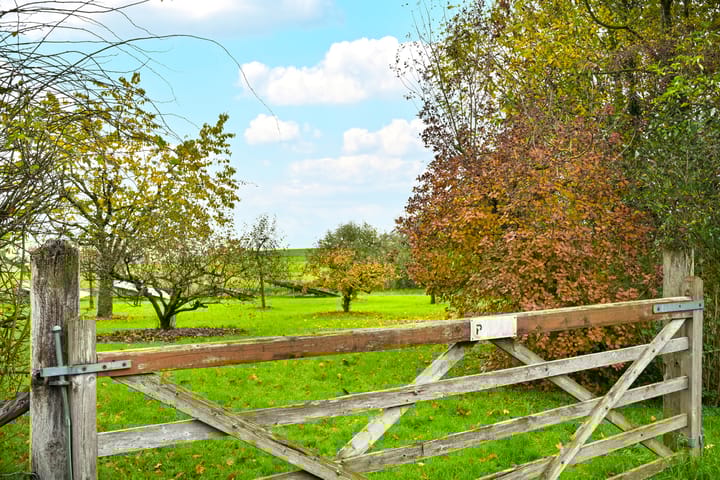 Foto 30 van Provincialeweg 69