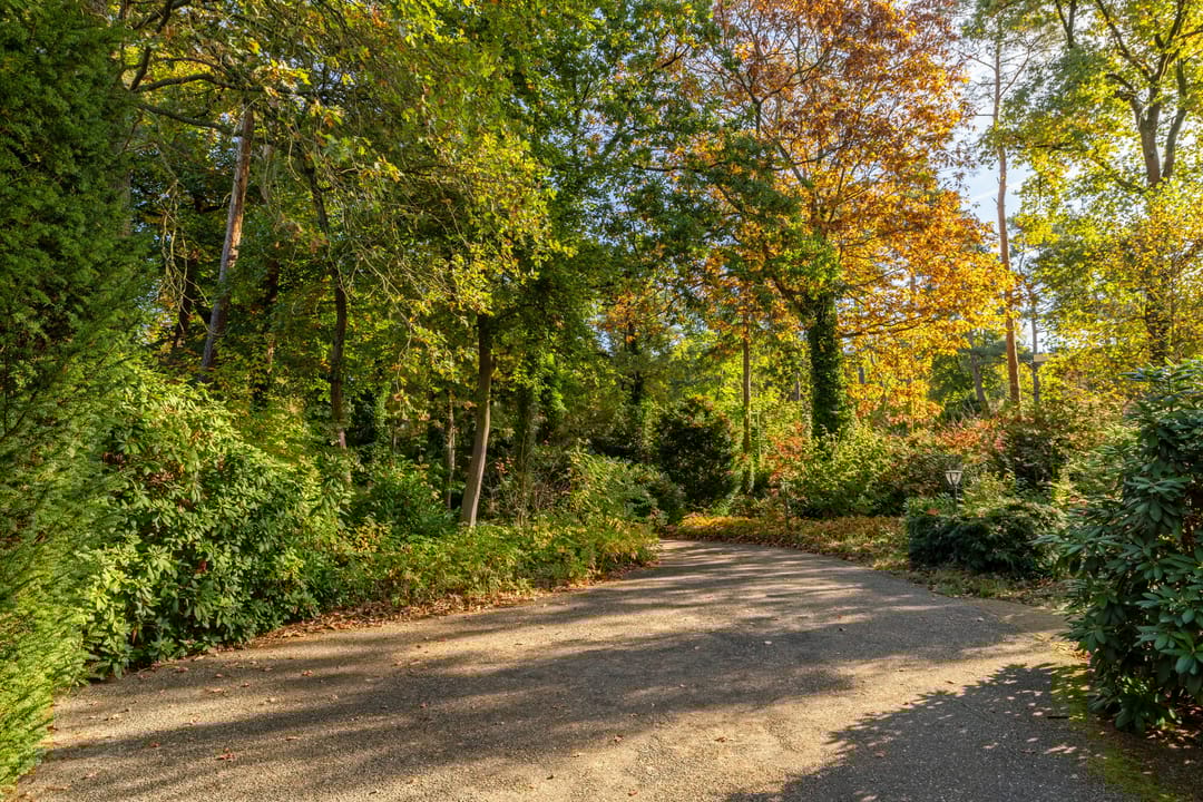 Foto 43 van Eperweg 84