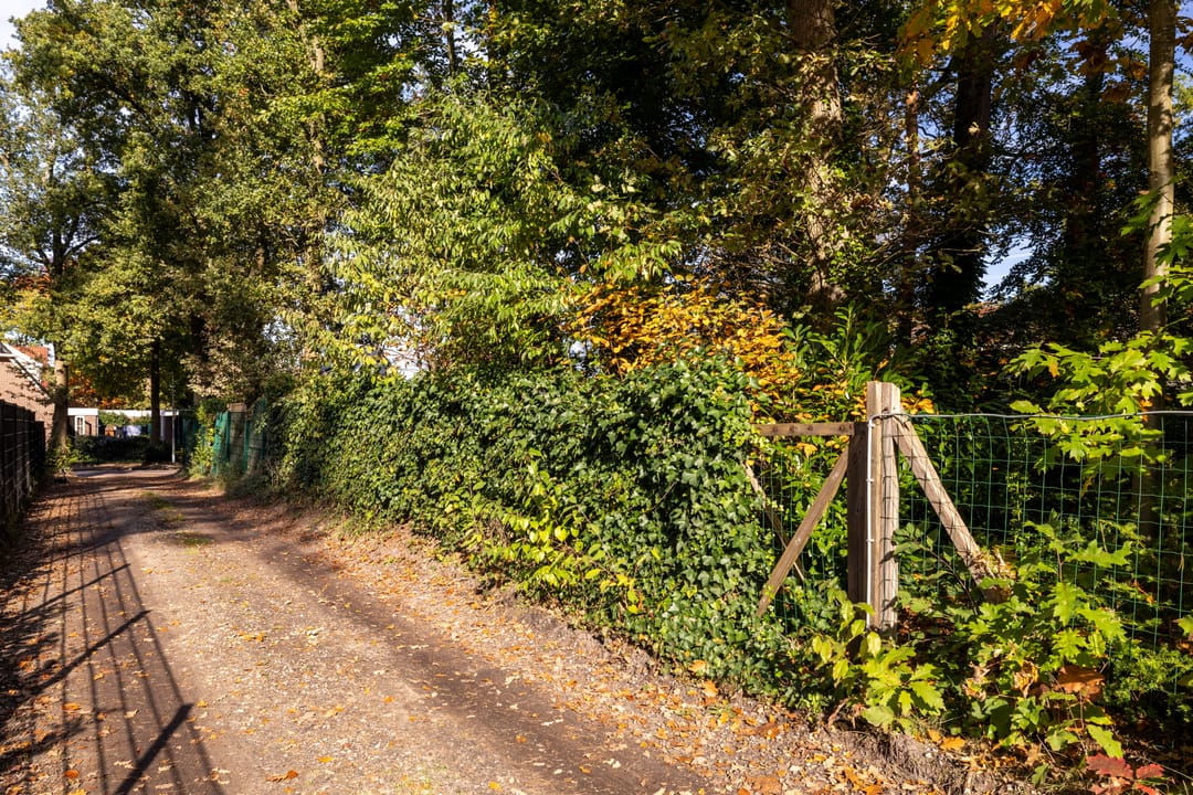 Foto 46 van Eperweg 84