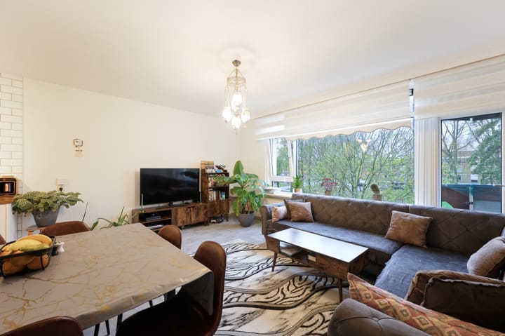 Photo 2 of Midscheeps 19