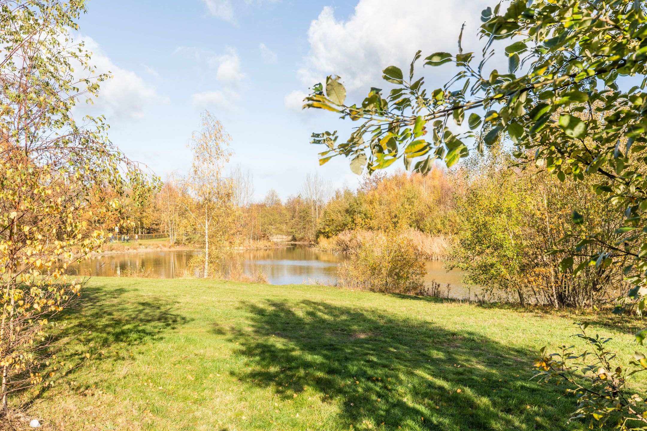 Photo 3 of Waterfront 311