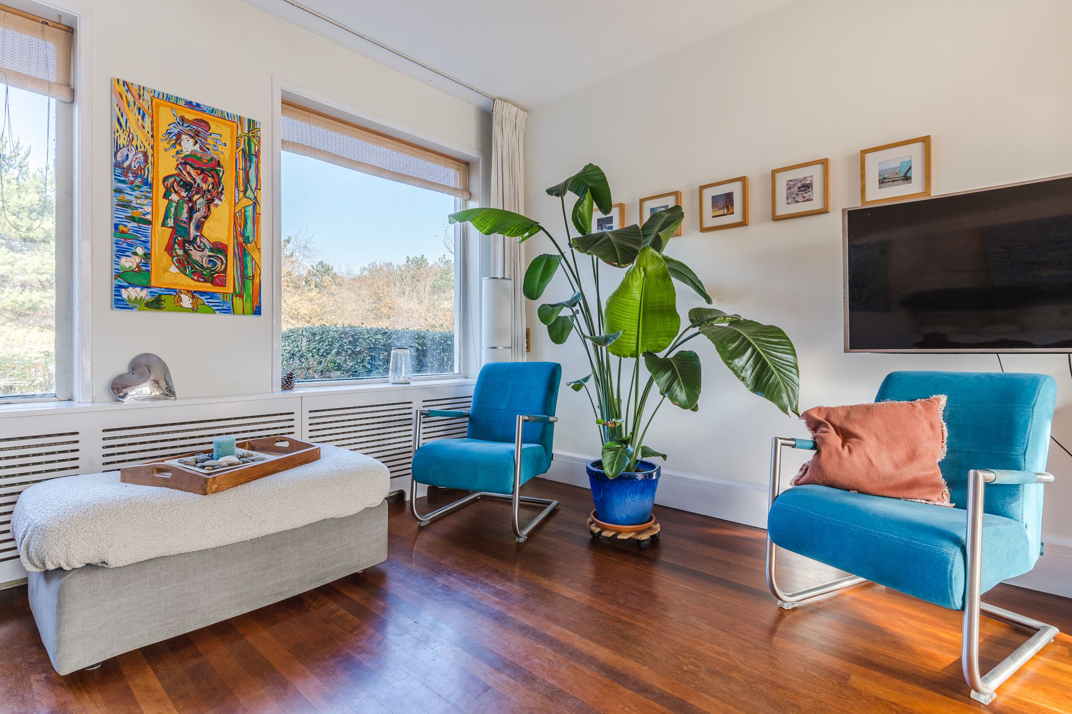 Foto 6 van Ir. de Vassystraat 4