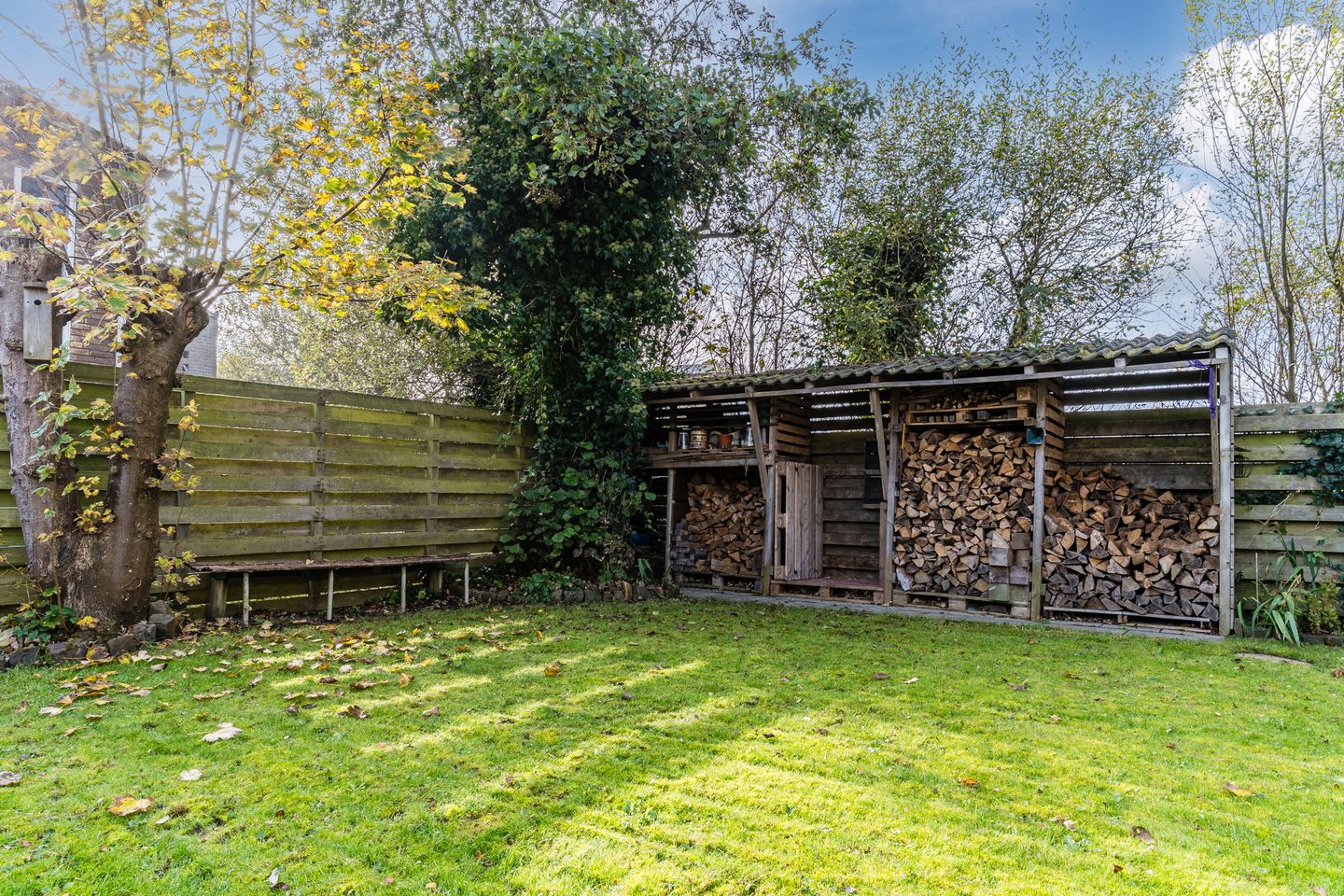 Foto 4 van Ir. de Vassystraat 4