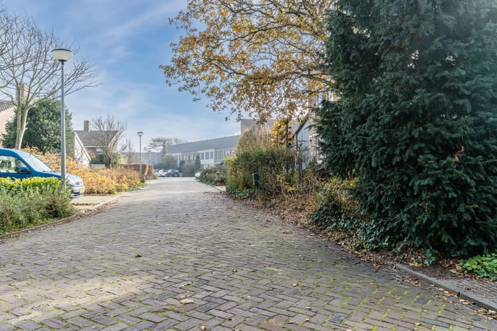 Photo 50 of Ir. de Vassystraat 4