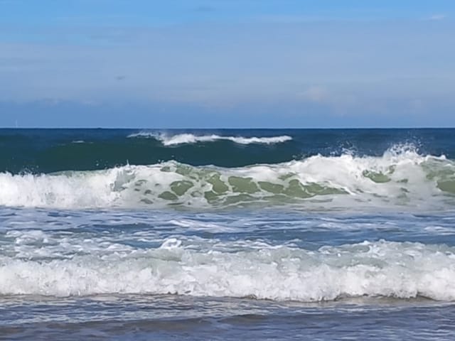 Foto 58 van Ir. de Vassystraat 4