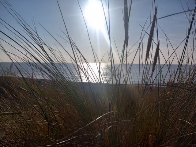 Photo 57 of Ir. de Vassystraat 4