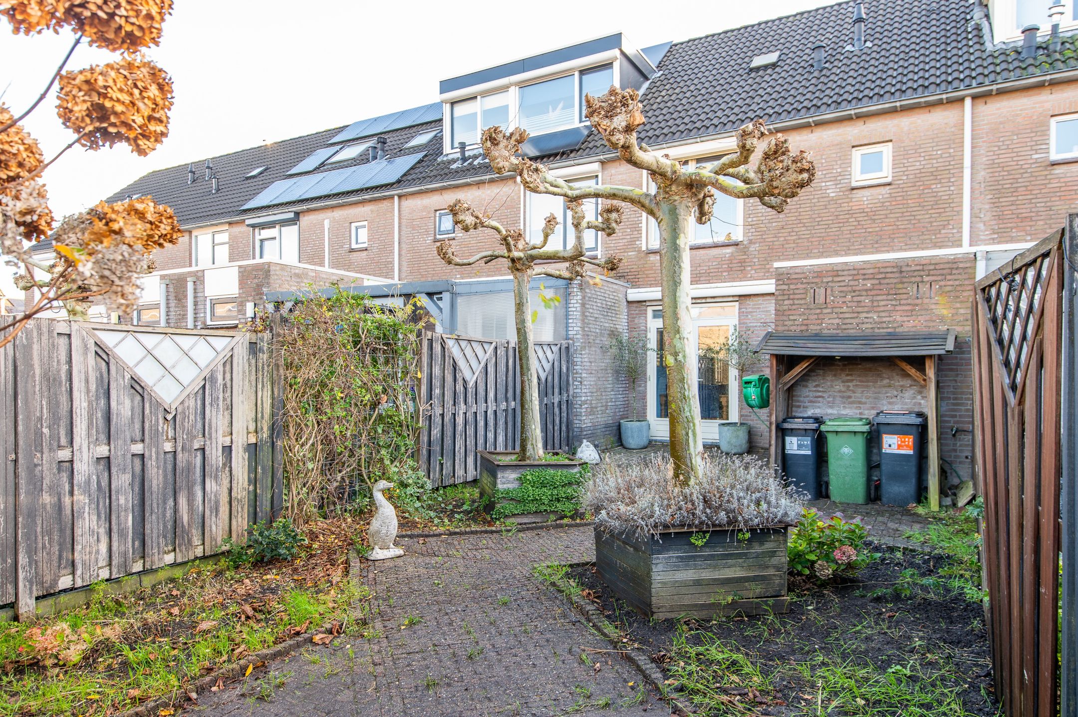 Foto 3 van Dopheidestraat 45