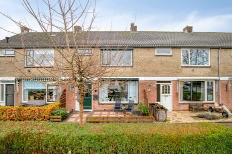 Coorndijkstraat thumbnail