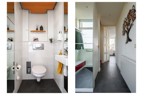 Ridderspoor 32 tertiary image