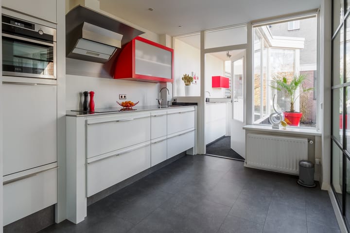 Foto 4 van Ridderspoor 32