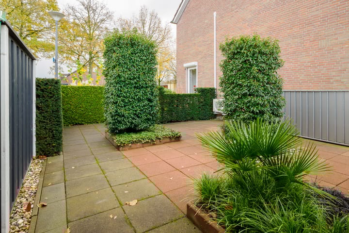 Foto 36 van Ridderspoor 32