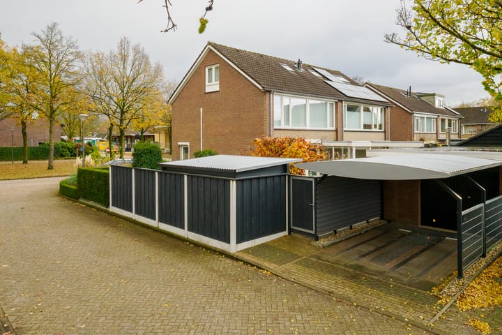 Foto 45 van Ridderspoor 32