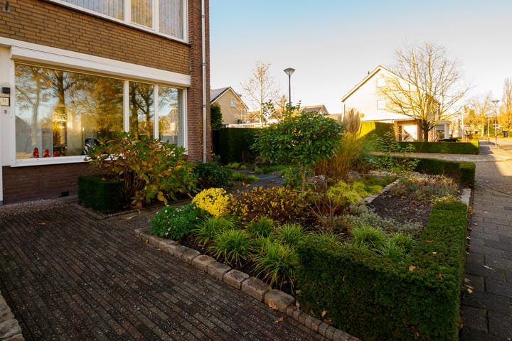 Foto 47 van Ridderspoor 32