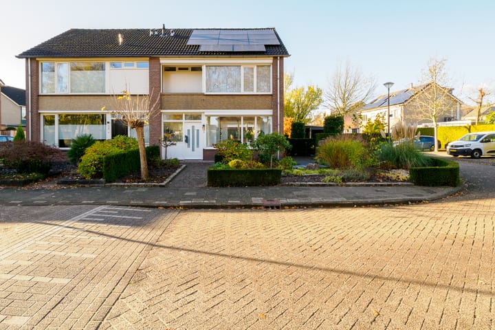 Foto 49 van Ridderspoor 32