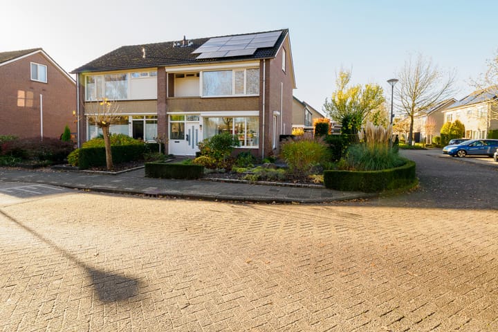 Foto 50 van Ridderspoor 32