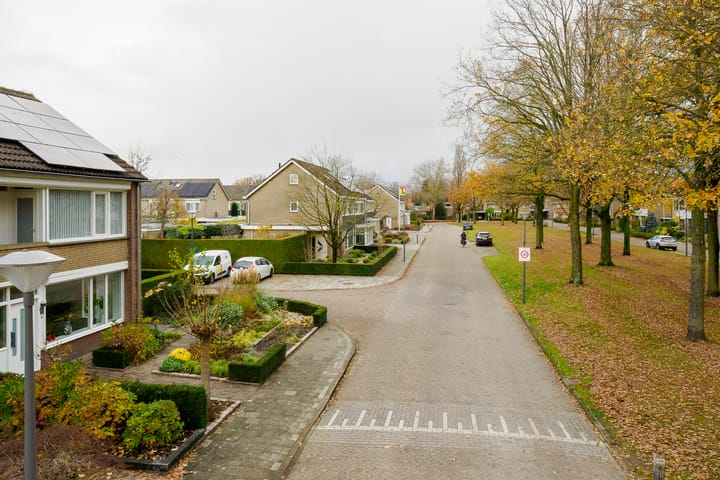 Foto 51 van Ridderspoor 32