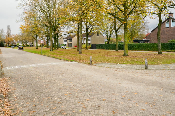 Foto 54 van Ridderspoor 32