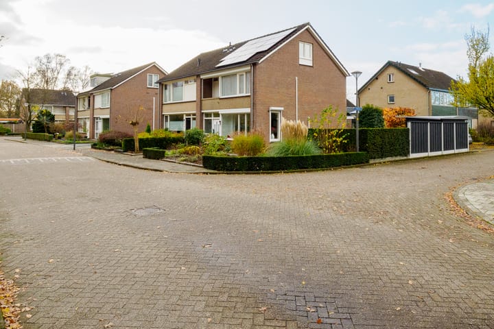 Foto 52 van Ridderspoor 32