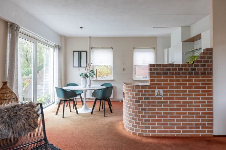 Foto 14 van Holmsterheerd 42