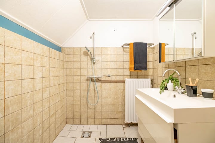 Foto 24 van Holmsterheerd 42