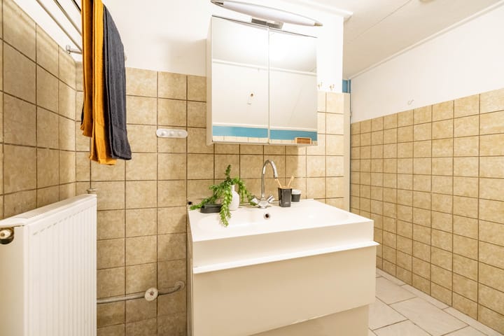 Foto 25 van Holmsterheerd 42