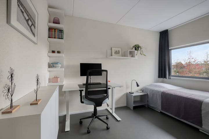 Photo 30 of Pauwoog 54