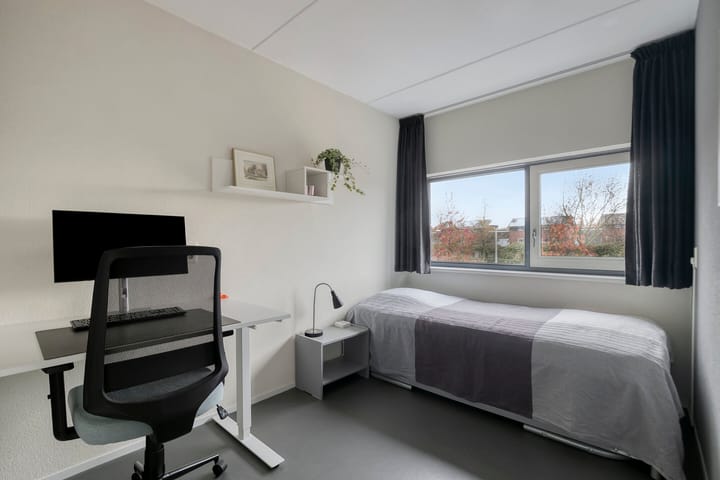 Photo 31 of Pauwoog 54