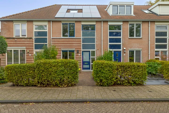 Photo 5 of Sleutelbloem 8