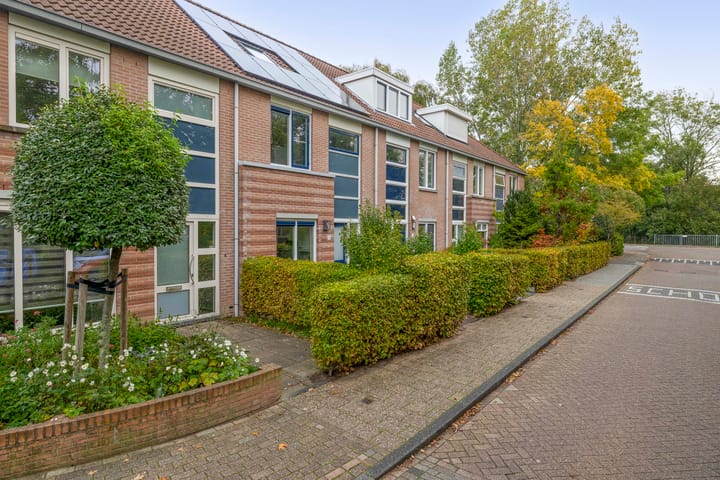 Photo 39 of Sleutelbloem 8