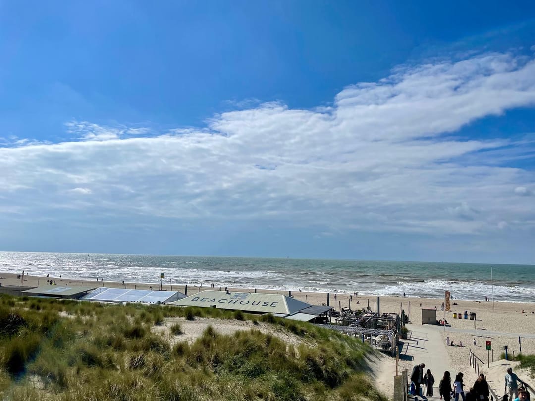 Foto 37 van Laan van Meerdervoort 1299