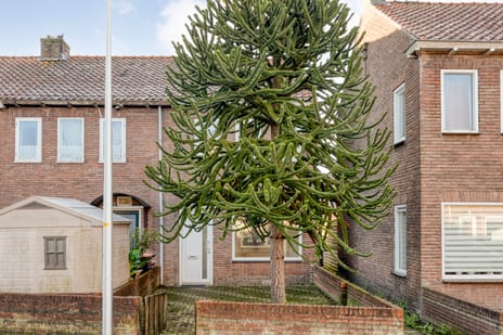 Zwaluwenstraat thumbnail