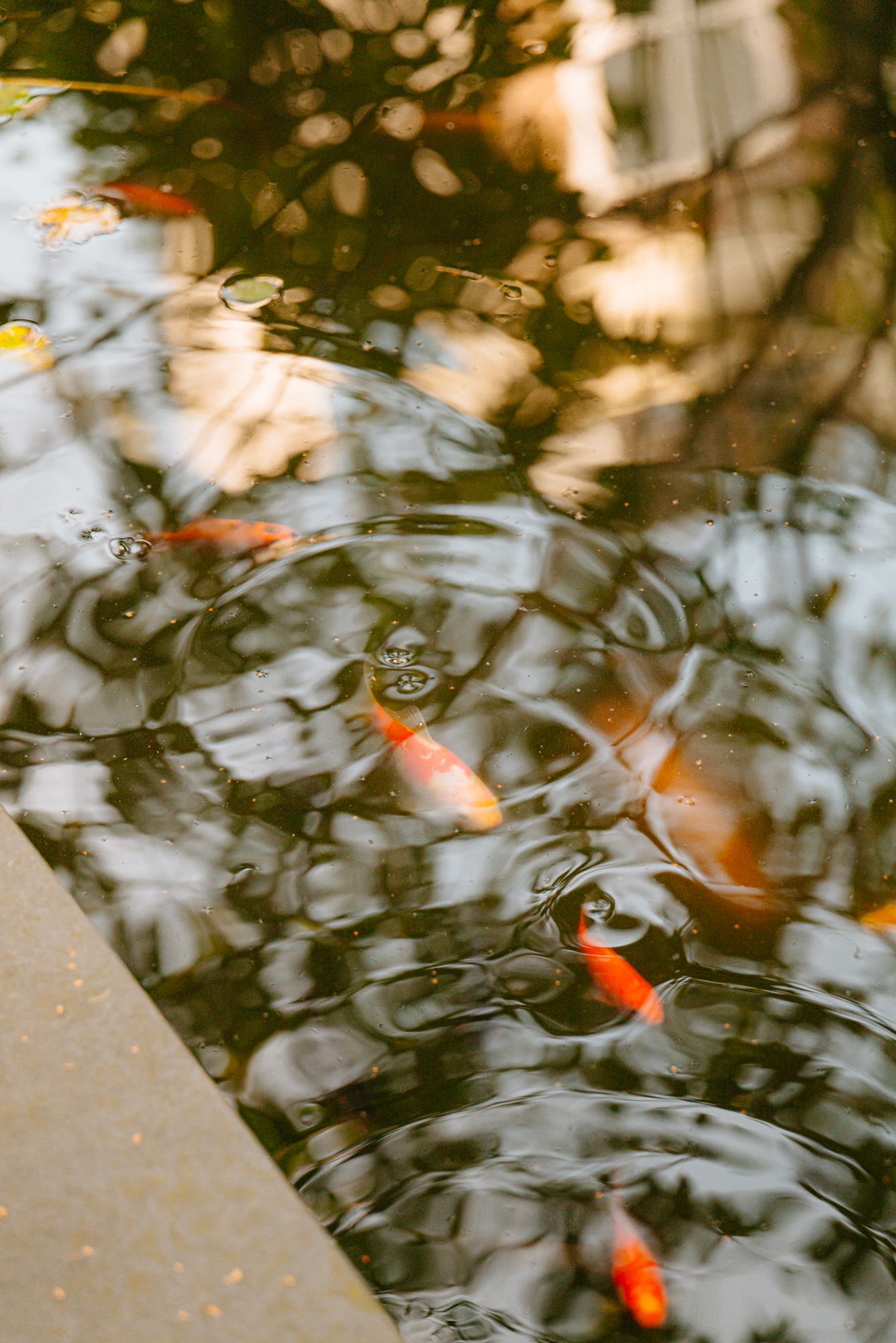 Foto 45 van Nieuwe Keizersgracht 54