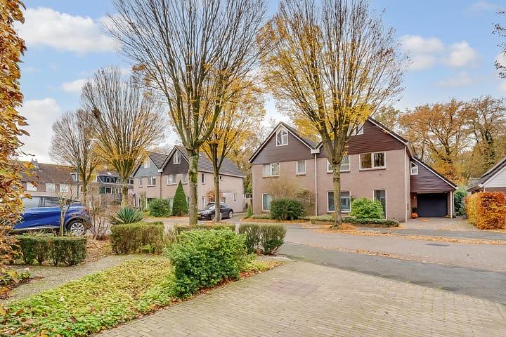 Photo 3 of Apollovlinder 11