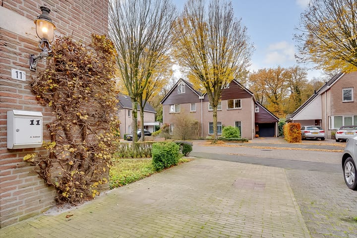 Photo 5 of Apollovlinder 11