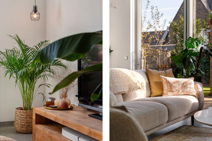 Foto 16 van Tuinbouwweg 40