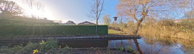 Omgeving