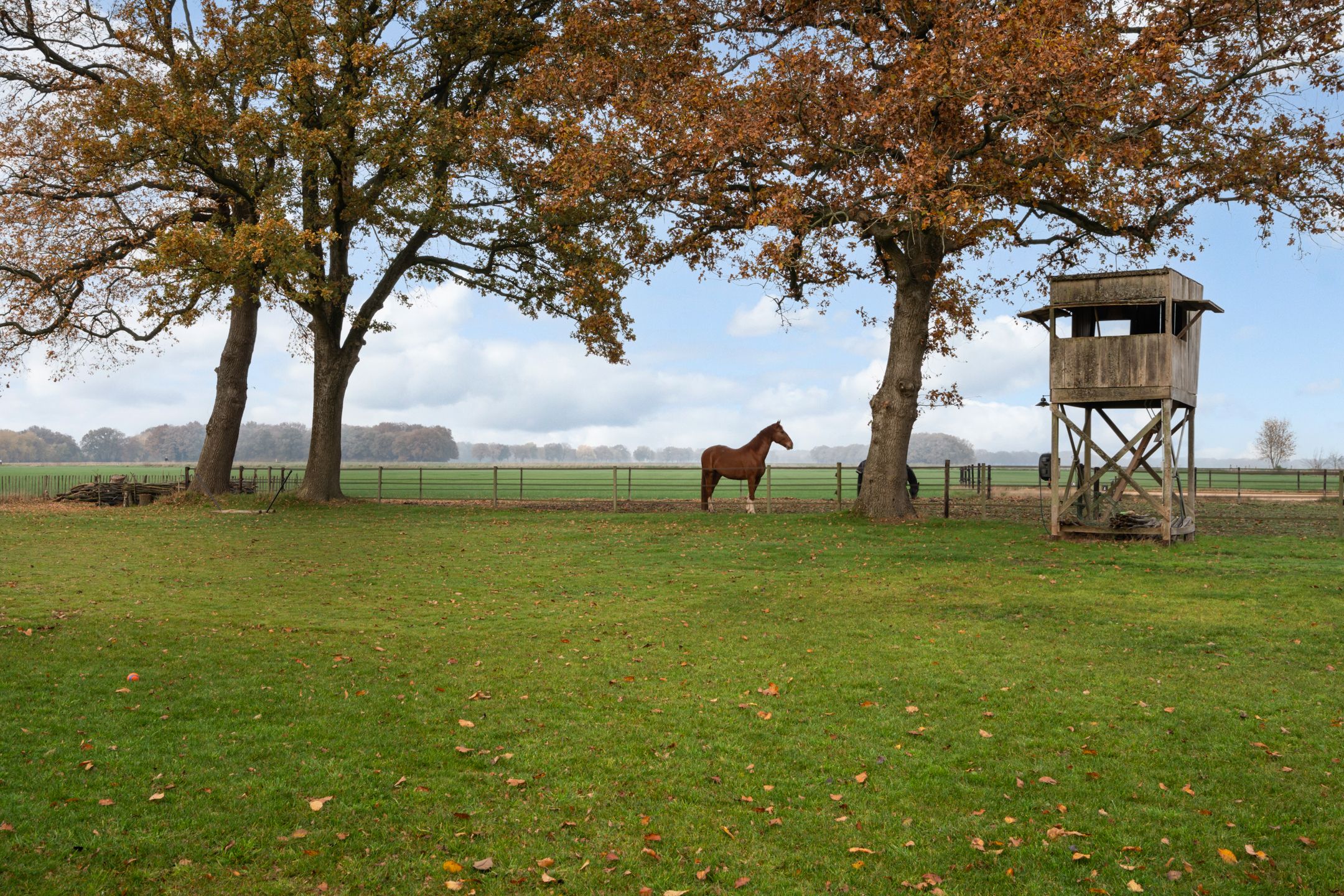 Foto 42 van Dorpsstraat 8