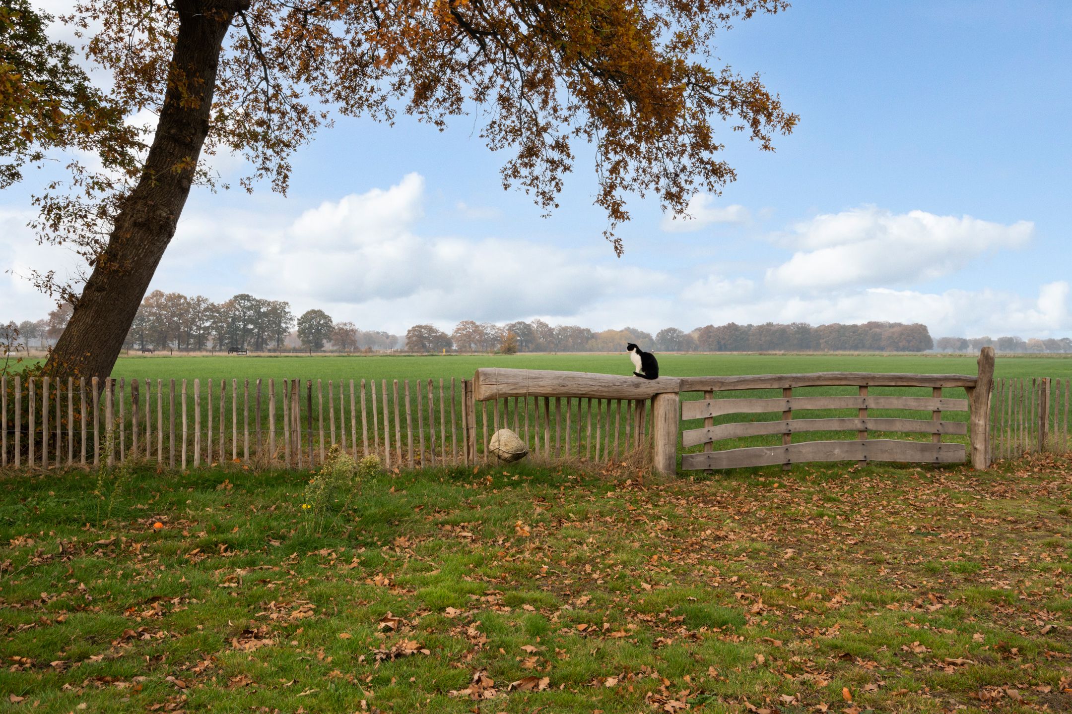 Foto 45 van Dorpsstraat 8